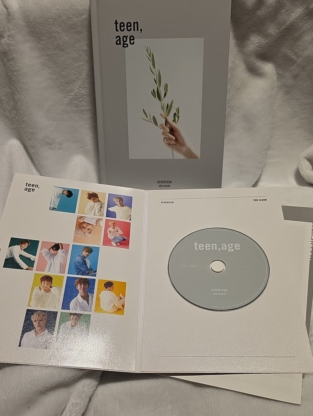 teen, age 2nd Album - Light Gray CD Edition